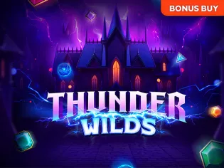 Thunder Wilds icon