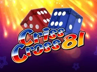 Criss Cross 81 icon